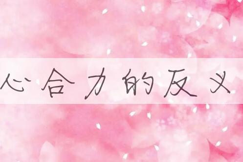 用同心合力造句