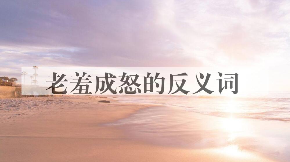 用老羞成怒造句