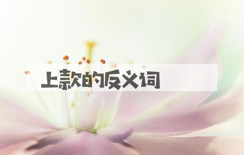 用上款造句