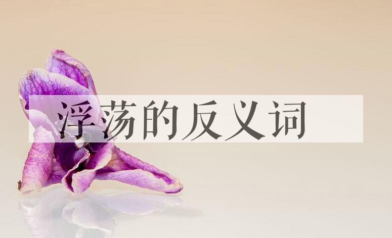 用浮荡造句
