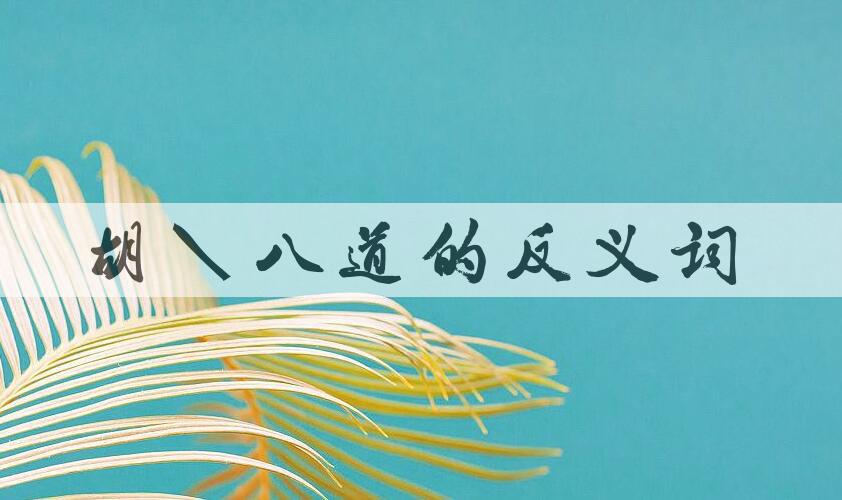 用胡说八道造句