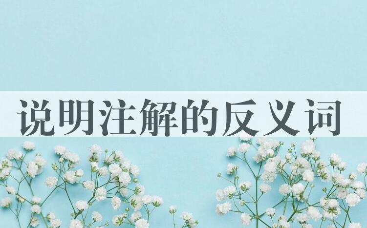用说明注解造句
