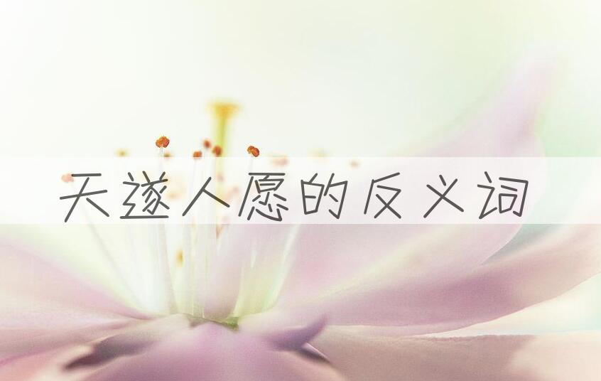 用天遂人愿造句