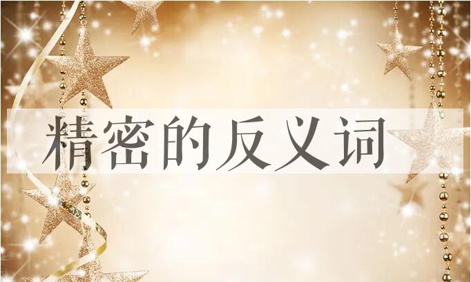 用精密造句