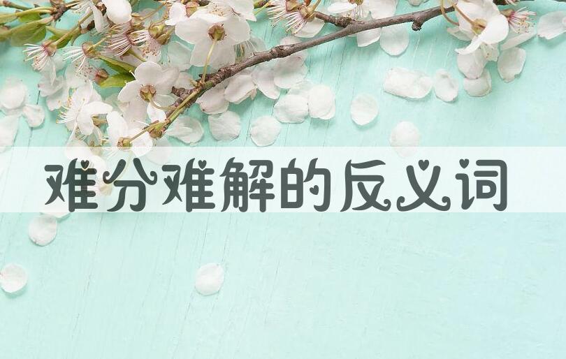 用难分难解造句