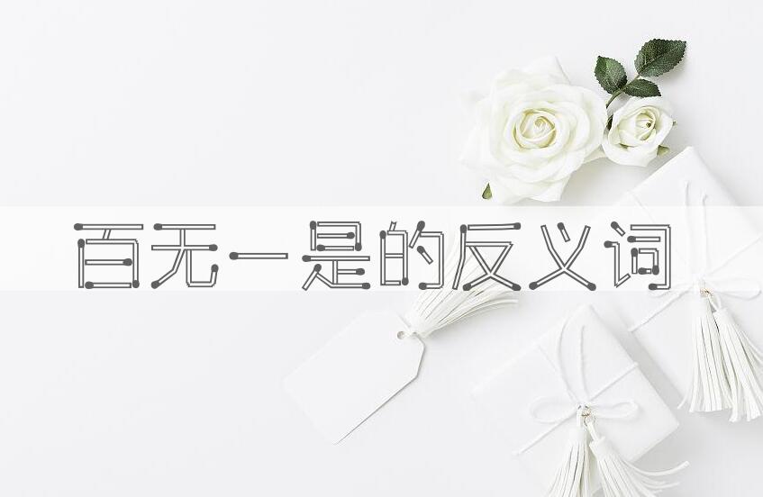 用百无一是造句