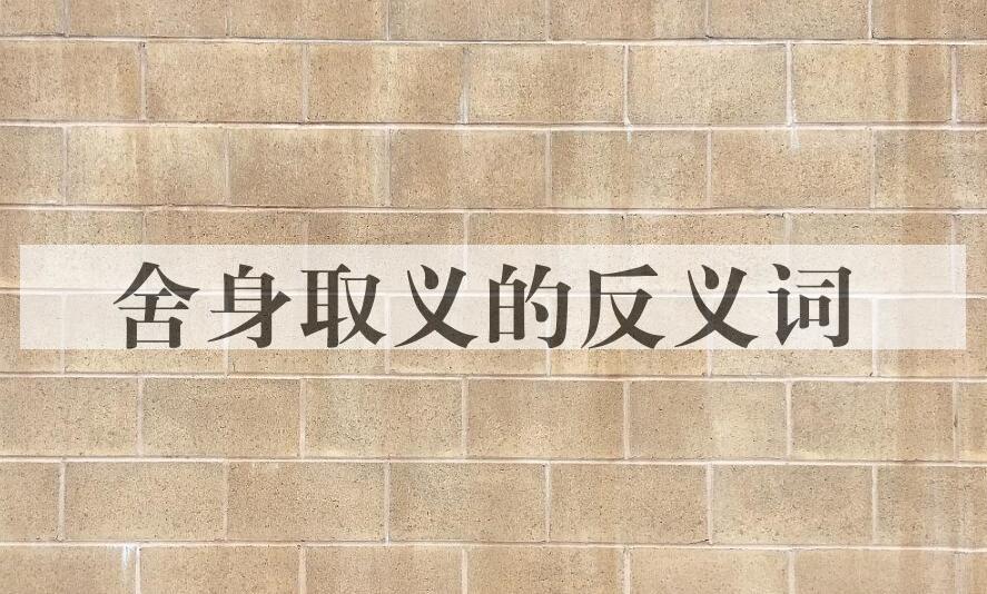 用舍身取义造句