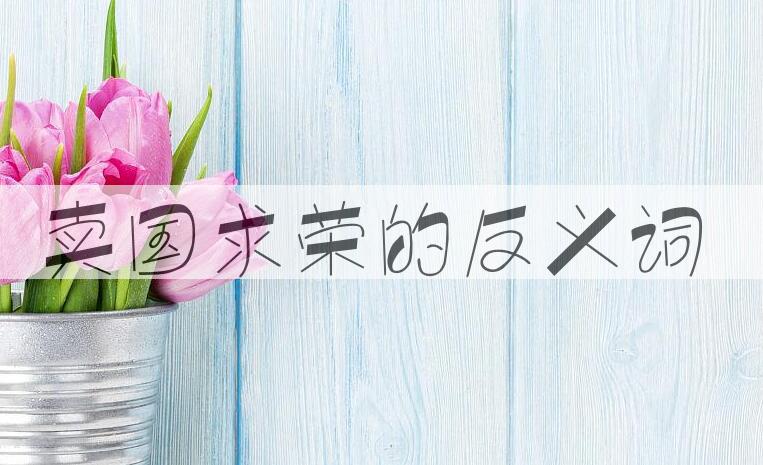 用卖国求荣造句