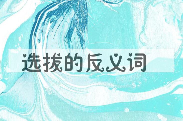 用选拔造句