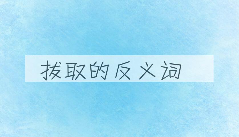 用拔取造句