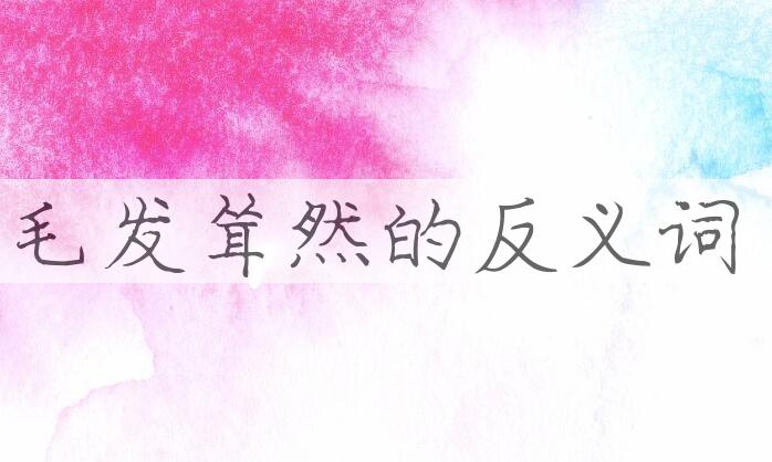 用毛发耸然造句
