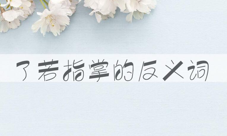 用了若指掌造句