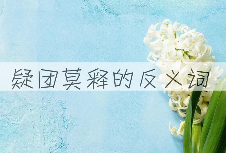 用疑团莫释造句