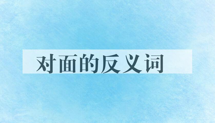用对面造句