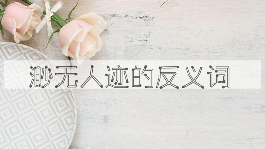 用渺无人迹造句
