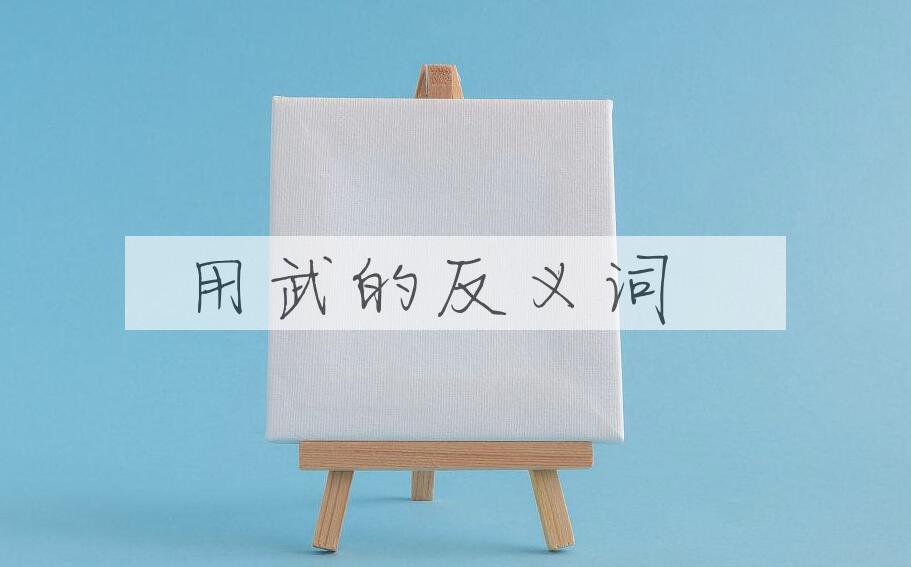 用用武造句