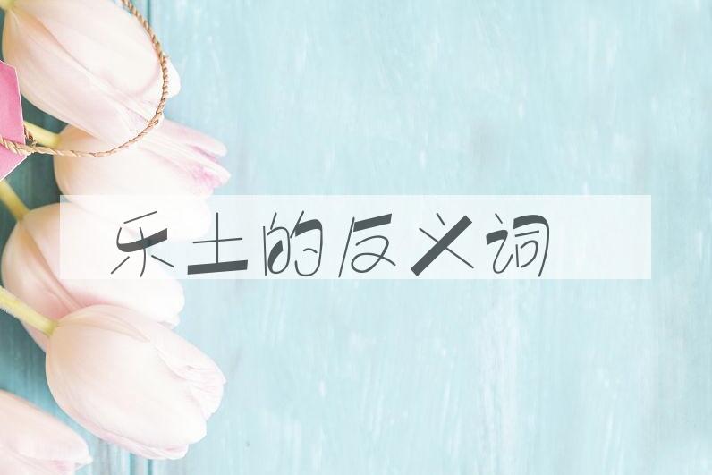 用乐土造句