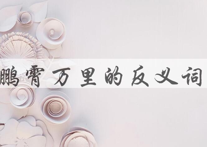 用鹏霄万里造句