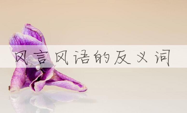 用风言风语造句