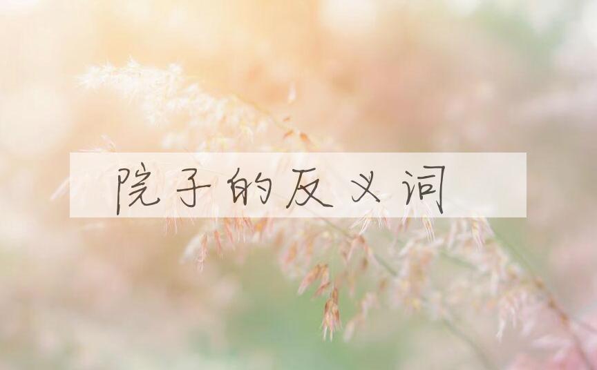 用院子造句