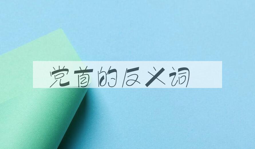 用党首造句