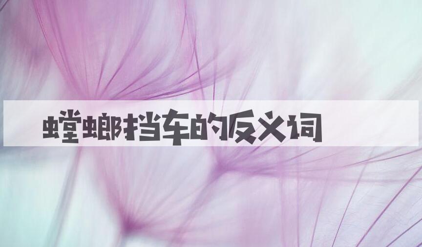 用螳螂挡车造句