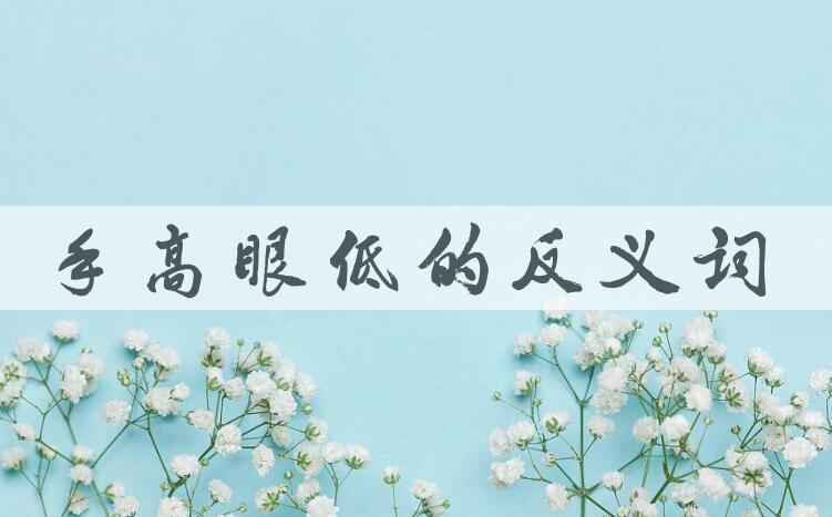 用手高眼低造句