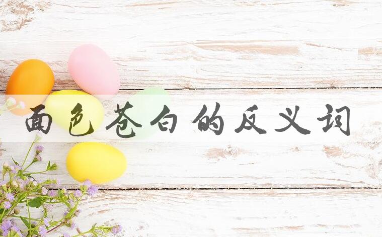 用面色苍白造句