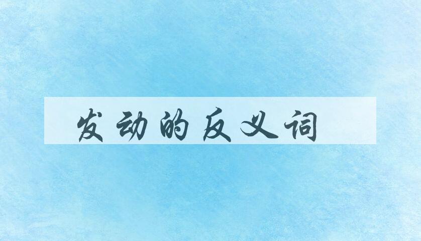 用发动造句