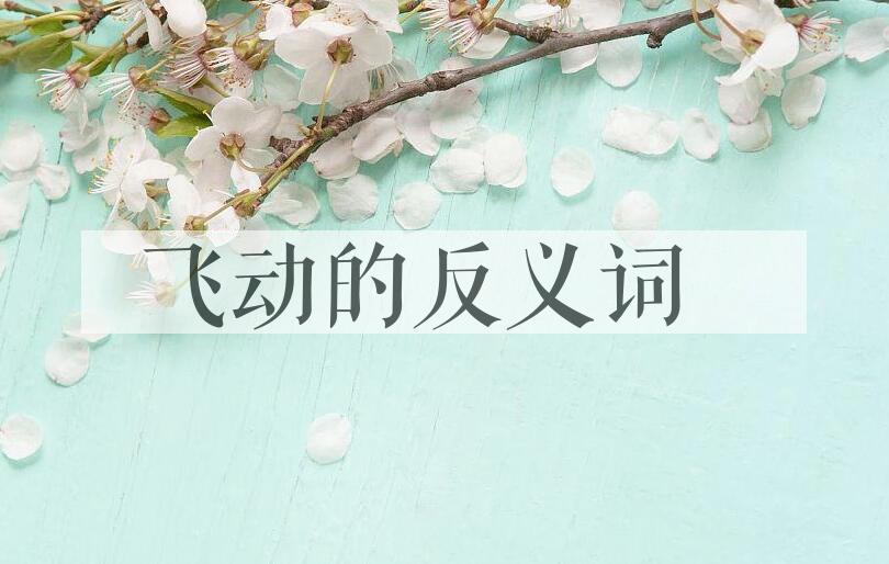 用飞动造句