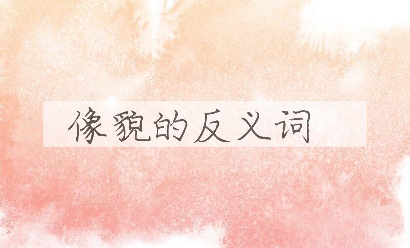 用像貌造句