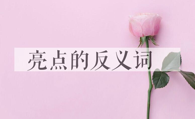 用亮点造句