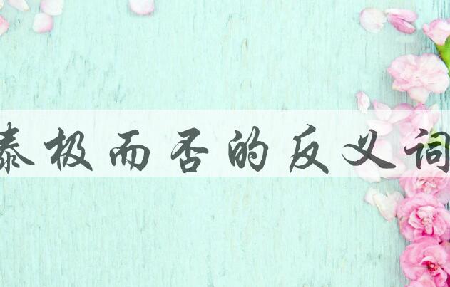 用泰极而否造句