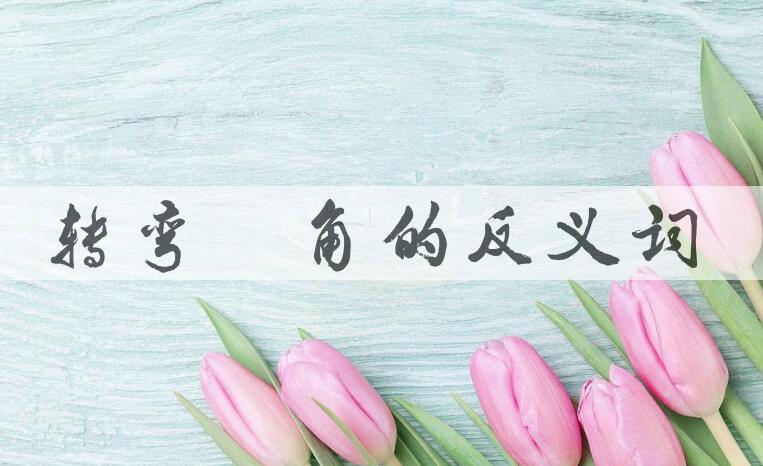 用转弯抹角造句