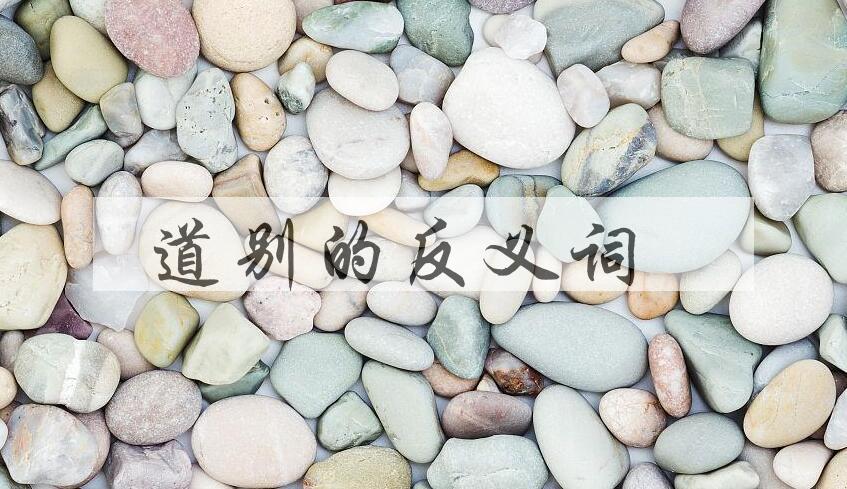 用道别造句