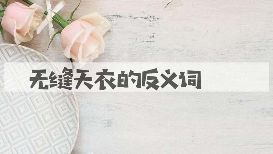 用无缝天衣造句