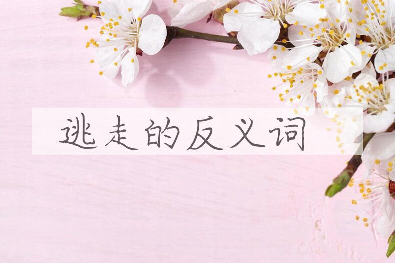 用逃走造句