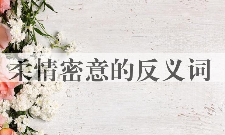 用柔情密意造句