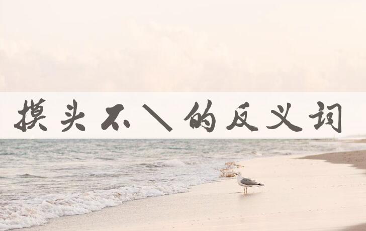 用摸头不着造句