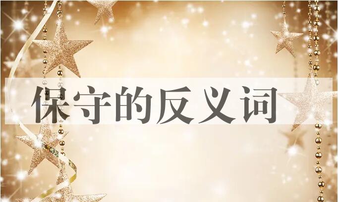用保守造句