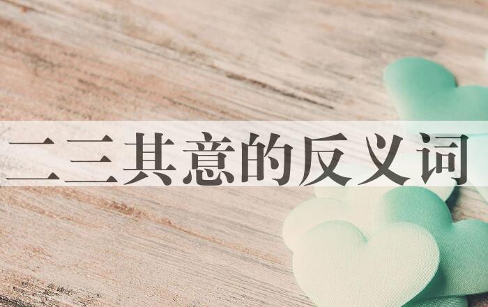 用二三其意造句