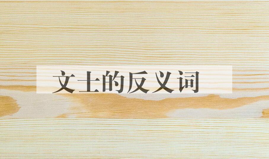 用文士造句