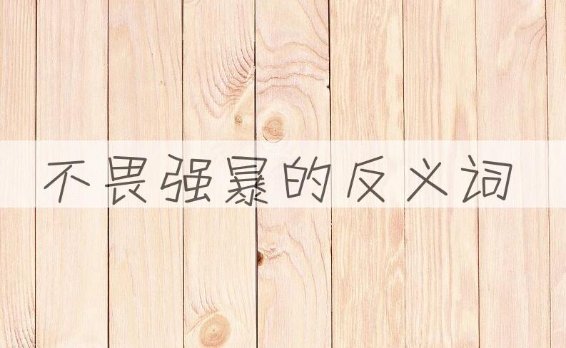 用不畏强暴造句