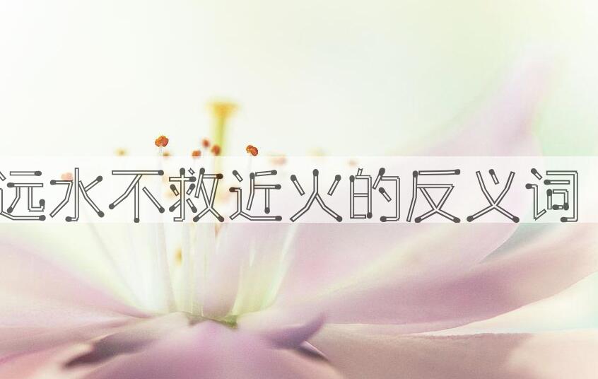 用远水不救近火造句