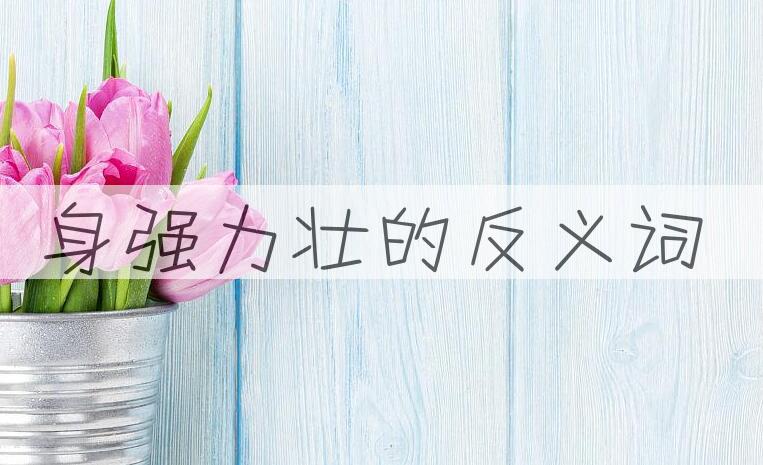 用身强力壮造句