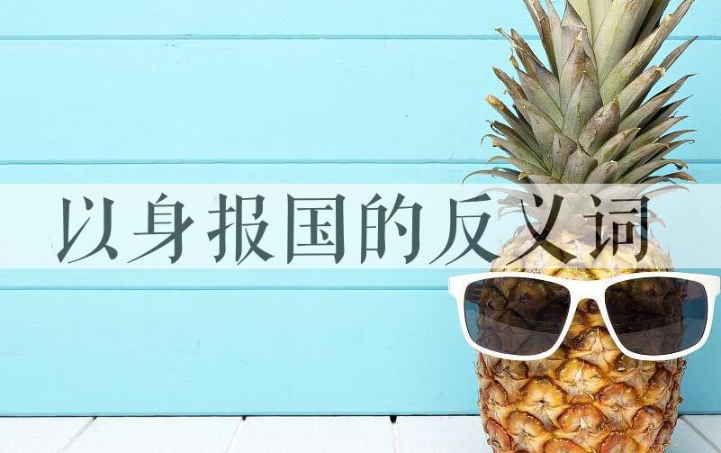 用以身报国造句