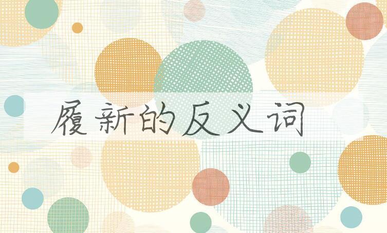 用履新造句