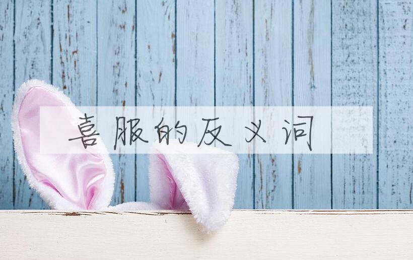 用喜服造句