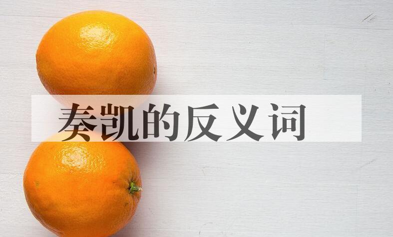 用奏凯造句