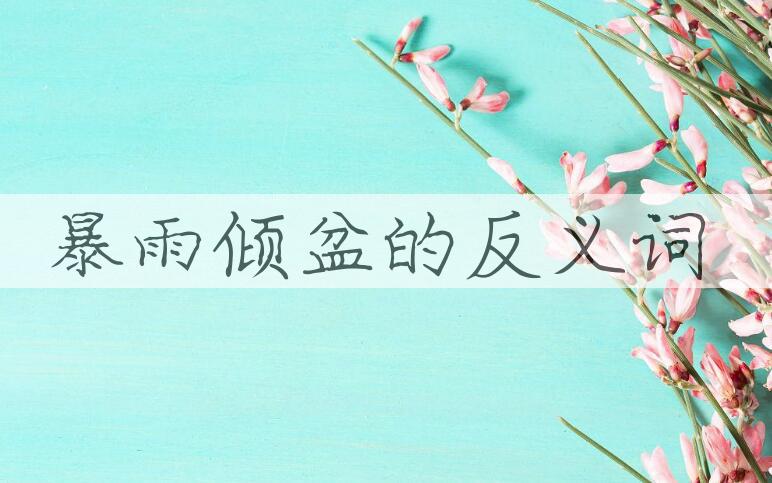 用暴雨倾盆造句